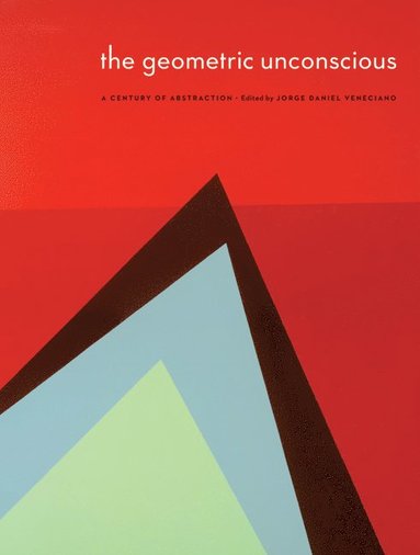 bokomslag Geometric Unconscious