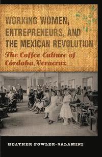 bokomslag Working Women, Entrepreneurs, and the Mexican Revolution
