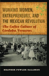 bokomslag Working Women, Entrepreneurs, and the Mexican Revolution