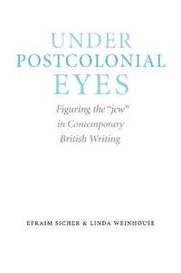 bokomslag Under Postcolonial Eyes