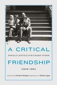 bokomslag A Critical Friendship