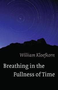 bokomslag Breathing in the Fullness of Time