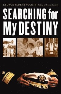 bokomslag Searching for My Destiny
