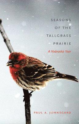 Seasons of the Tallgrass Prairie 1