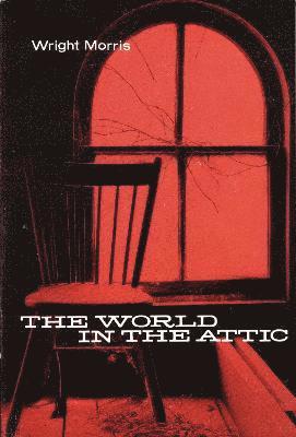 bokomslag The World in the Attic