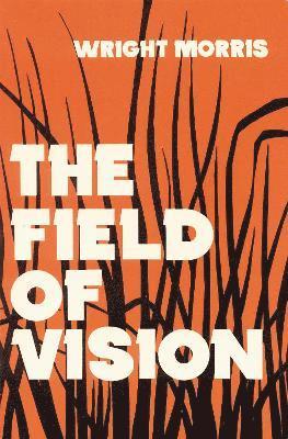 The Field of Vision 1