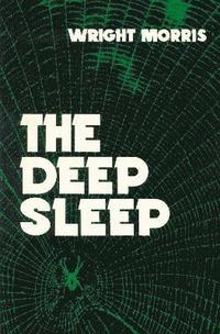 bokomslag The Deep Sleep