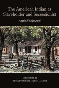 bokomslag The American Indian as Slaveholder and Secessionist