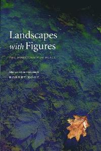 bokomslag Landscapes with Figures