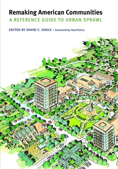 David C. Soule - Remaking American Communities, Häftad