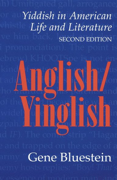 bokomslag Anglish/Yinglish