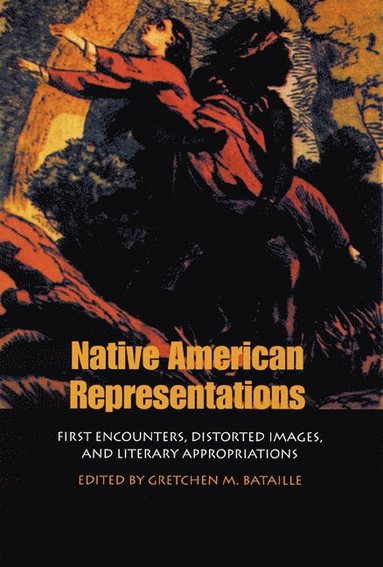 bokomslag Native American Representations