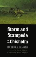 bokomslag Storm and Stampede on the Chisholm