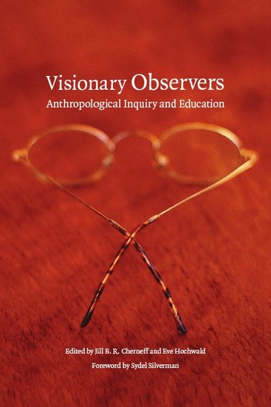 bokomslag Visionary Observers