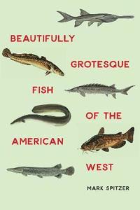bokomslag Beautifully Grotesque Fish of the American West