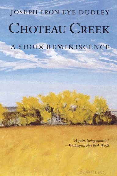 bokomslag Choteau Creek