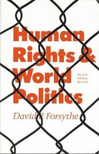 bokomslag Human Rights and World Politics