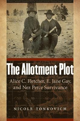 The Allotment Plot 1