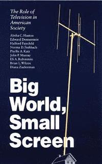 bokomslag Big World, Small Screen