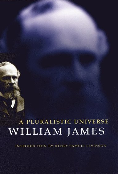 bokomslag Pluralistic Universe
