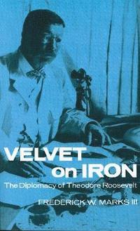 bokomslag Velvet on Iron