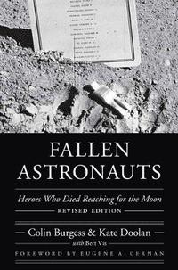 bokomslag Fallen Astronauts