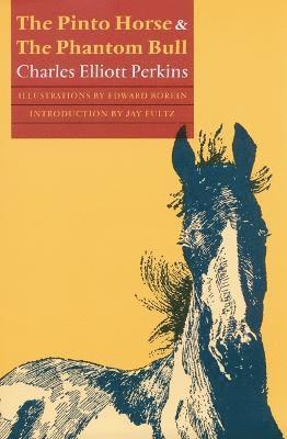 Pinto Horse and the Phantom Bull