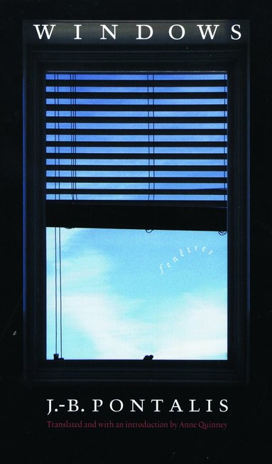 J.-B. Pontalis - Windows, Häftad