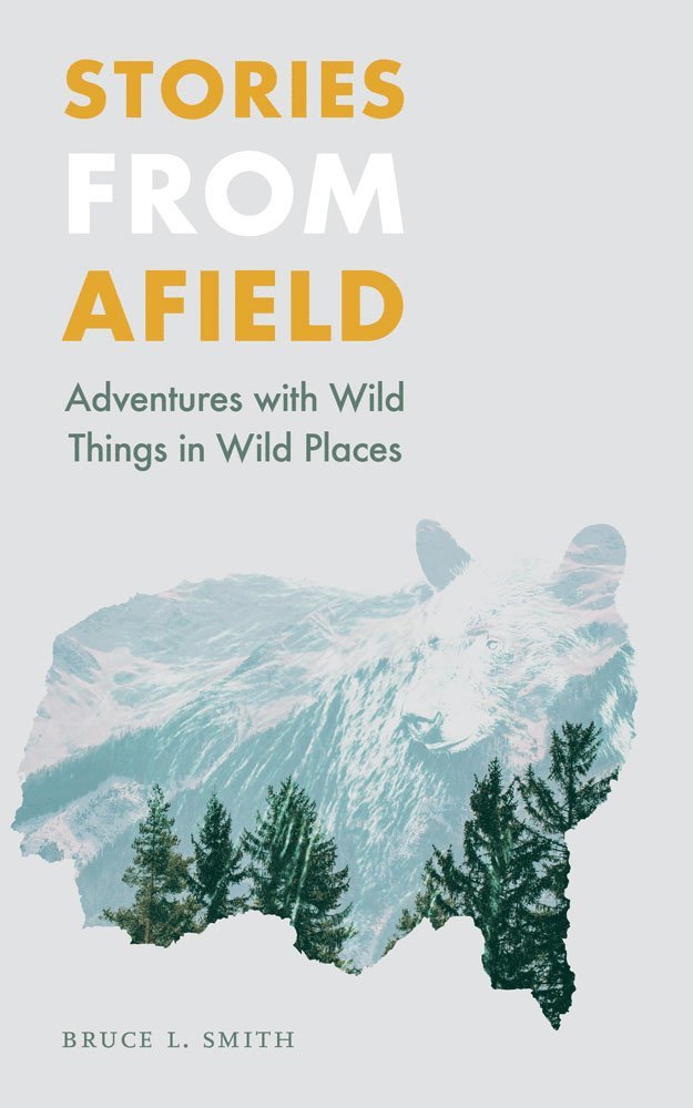 Stories from Afield 1