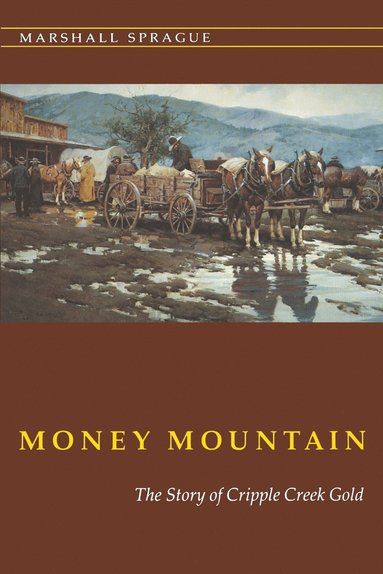 bokomslag Money Mountain