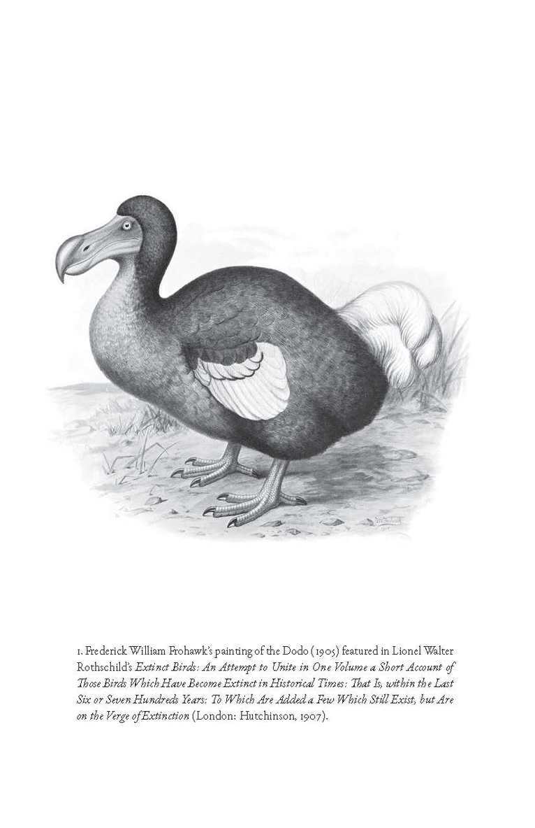 B.J. Hollars, B. J. Hollars, B J Hollars - Flock Together, Inbunden