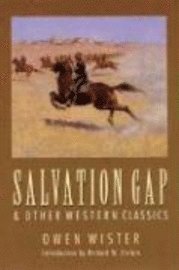 bokomslag Salvation Gap