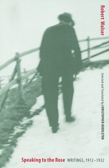 Robert Walser - Speaking to the Rose, Häftad