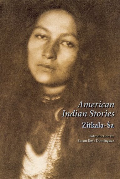 bokomslag American Indian Stories