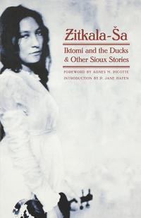 bokomslag Iktomi and the Ducks and Other Sioux Stories