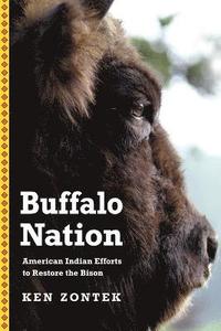 bokomslag Buffalo Nation