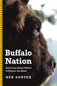 bokomslag Buffalo Nation