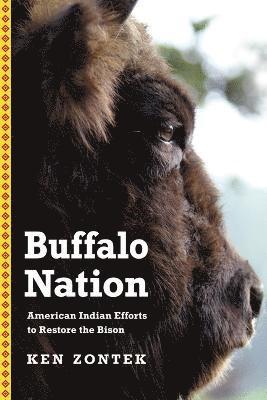 Buffalo Nation 1