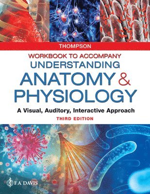 Thompson, G: Workbook to Accompany Understanding Anatomy & P