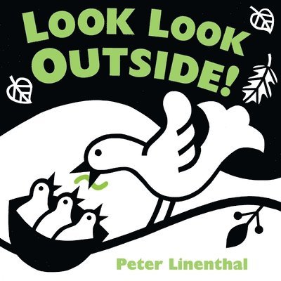 Look Look Outside! 1