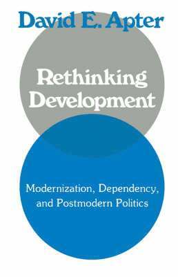 bokomslag Rethinking Development