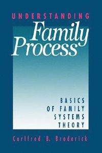 bokomslag Understanding Family Process