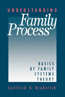 bokomslag Understanding Family Process