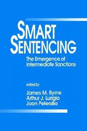 bokomslag Smart Sentencing