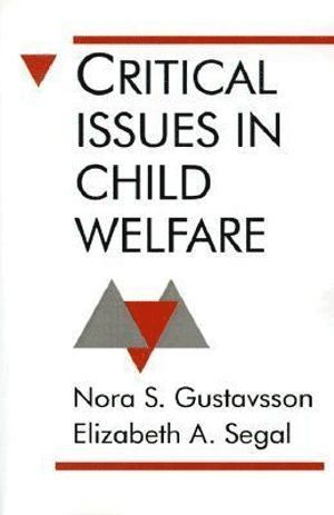 bokomslag Critical Issues in Child Welfare