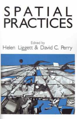 Spatial Practices