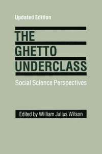 bokomslag The Ghetto Underclass