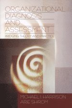 bokomslag Organizational Diagnosis and Assessment