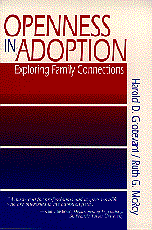 bokomslag Openness in Adoption