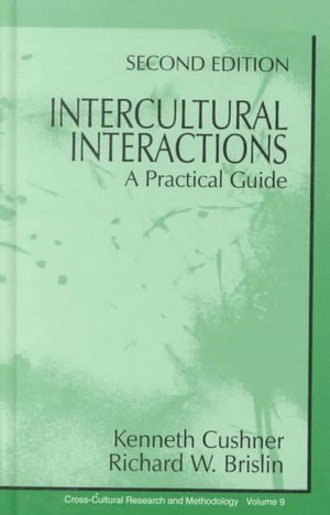 bokomslag Intercultural Interactions